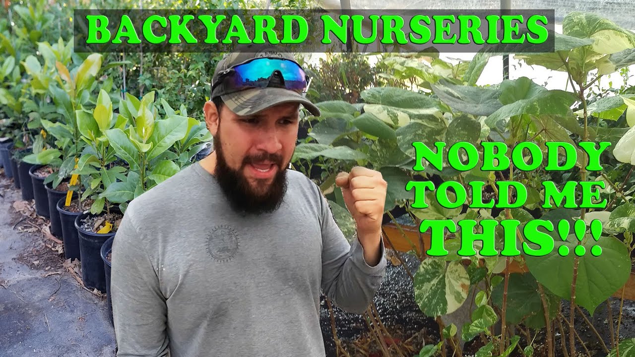 TOP Things I Don't like About Having a Backyard Nursery