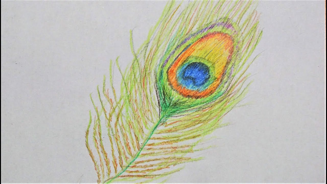 🌾 Pfauen Feder zeichnen - how to draw a peacock feather of bird - как нарисовать перо павлина
