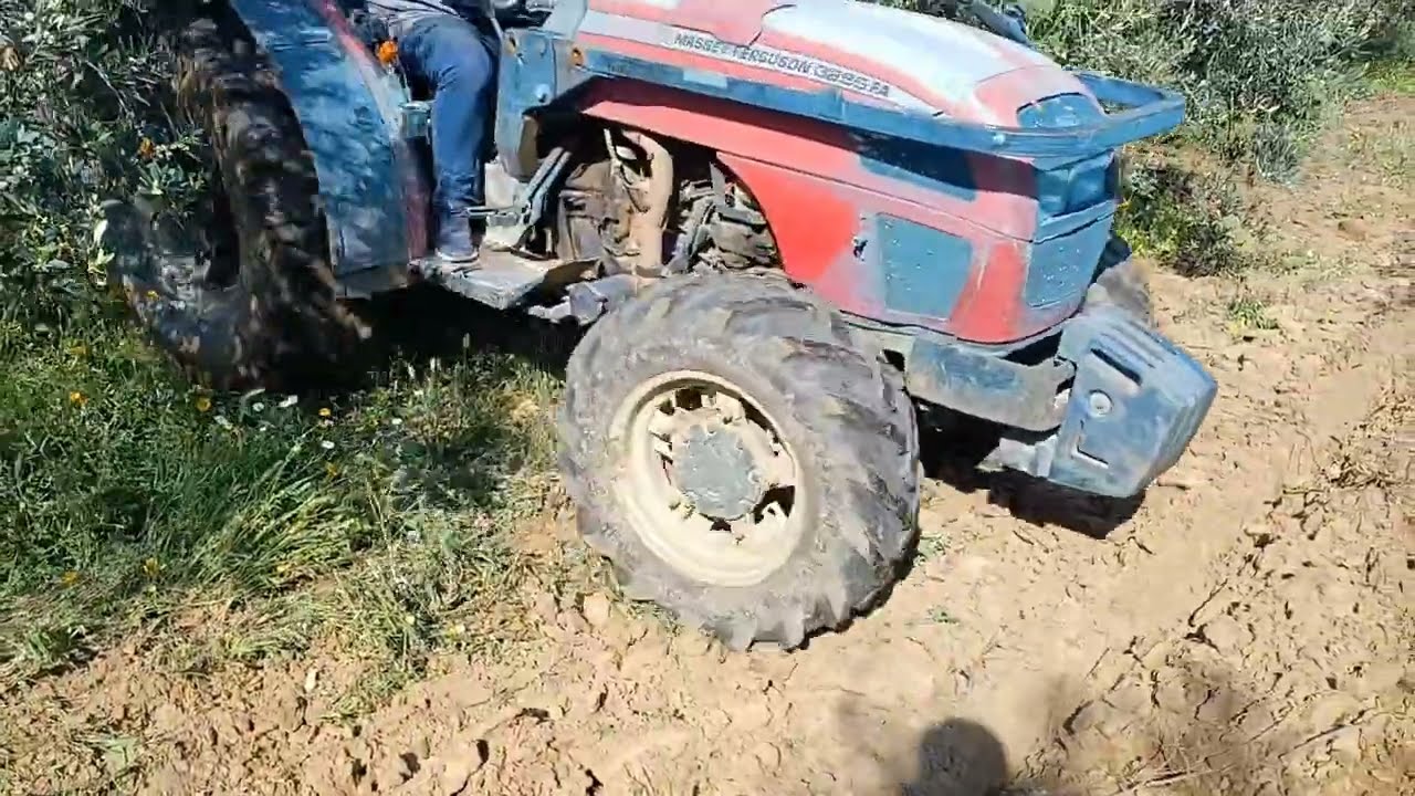 Pasando gradas de discos en los olivos