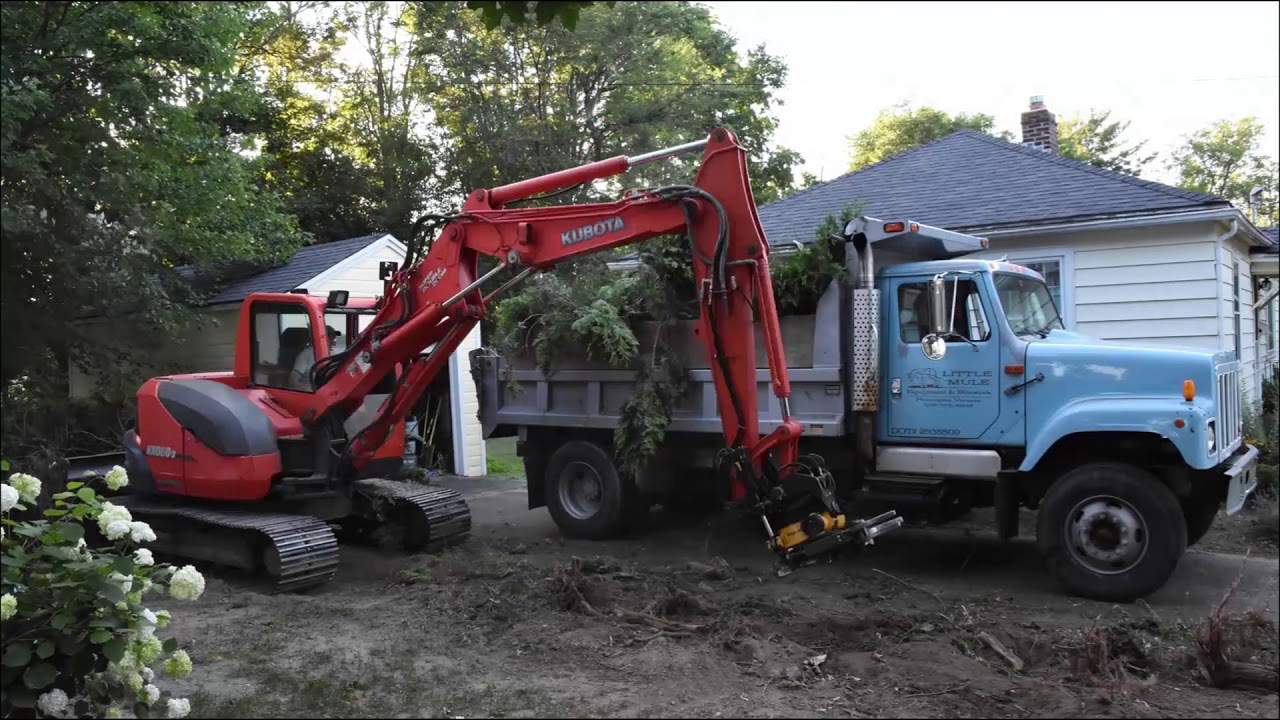 Removing Cedar Hedge Under Power Line With engcon Tiltrotator