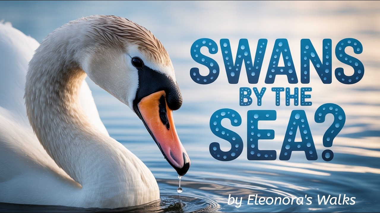 Hoek van Holland Seaway Walk with Surprise Swan Visit | Netherlands | #eleonoraswalks