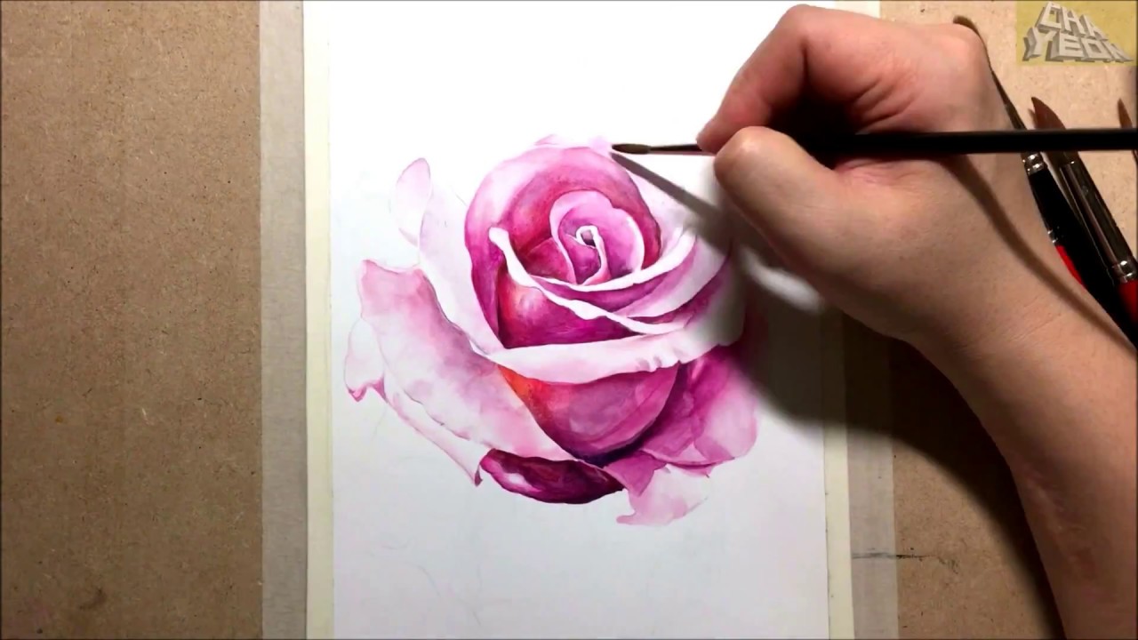 watercolor painting of Pink rose / 꽃 그리기 , 장미 수채화 그림