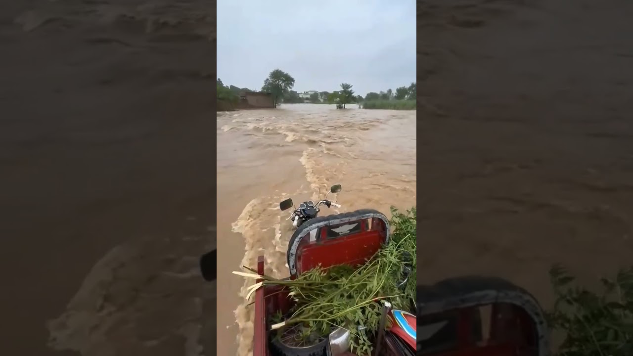 Massive flood Destroyed everything 😱 |Natural Disaster #viral #trending #floods #flood #Disaster