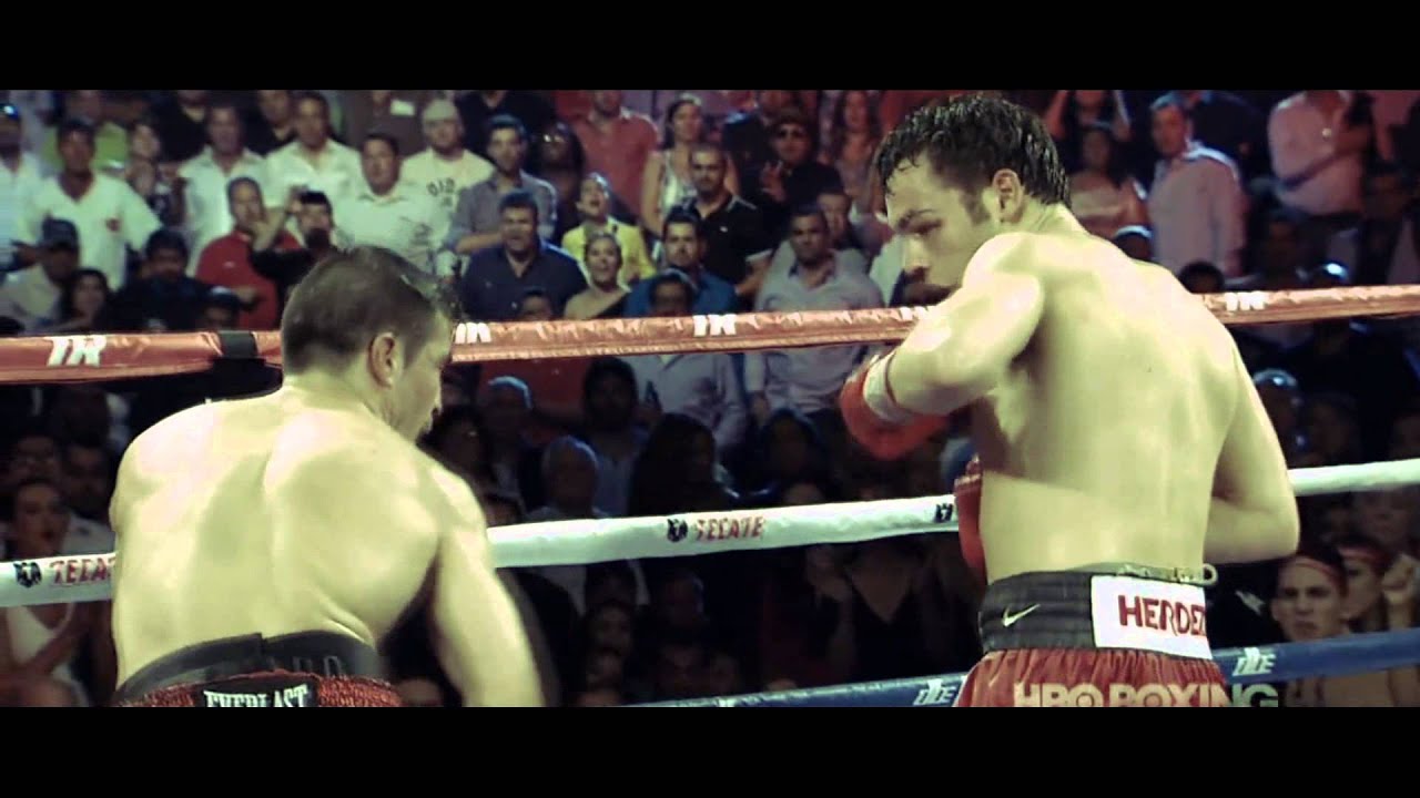The Catalyst Boxing Highlight Video