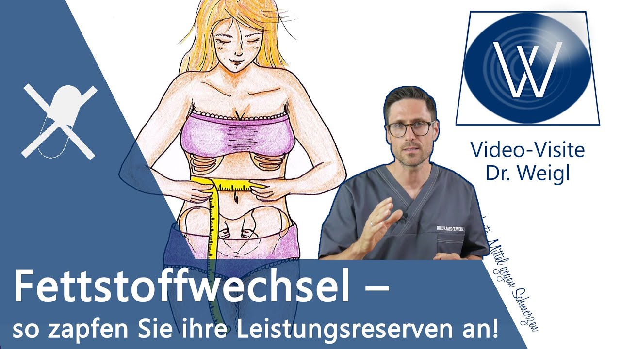 Fettstoffwechsel anzapfen & Fettverbrennung steigern 🔝 Mehr Ausdauer, mehr Energie & weniger Gewicht