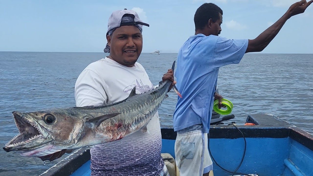 A la vie Kingfishing on the North with Jason Hills, Fillette Point (Ep 2023-11)