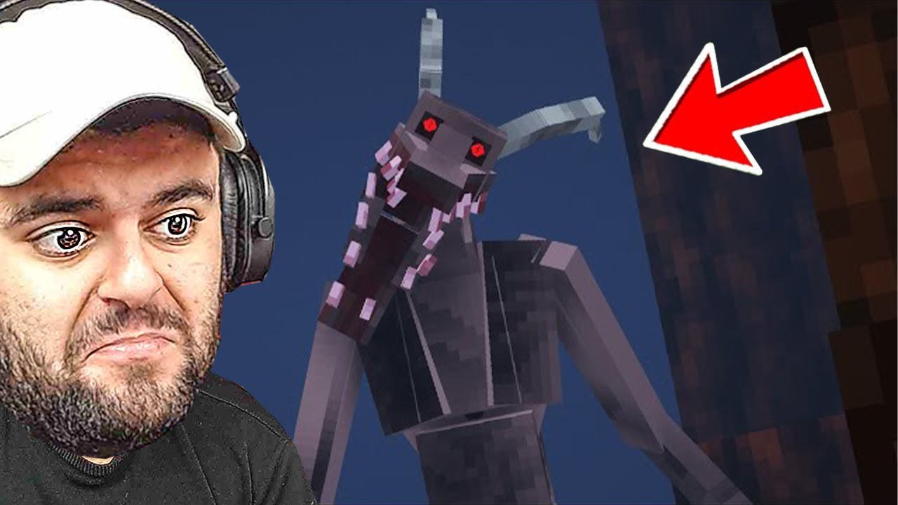 უზარმაზარი ფერმა ავაშენეთ Minecraft -ში! DAY 19