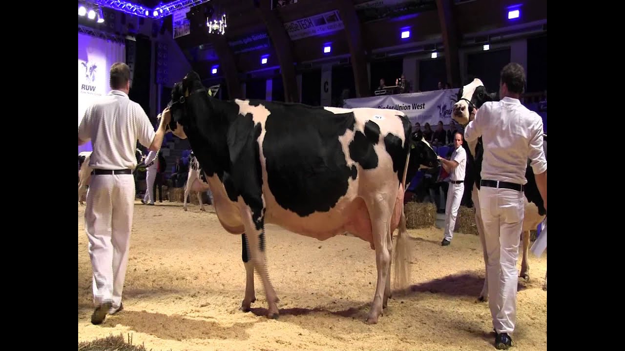 RUW Schau 2013 Teil 37