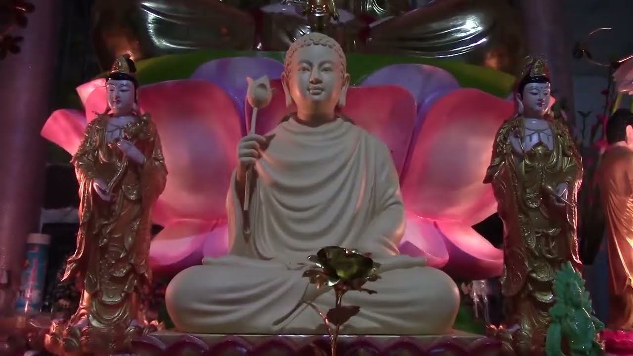 Trì bình khất thực hóa duyên 29 02 2017 Tịnh thất NGỌC TÂN   YouTube