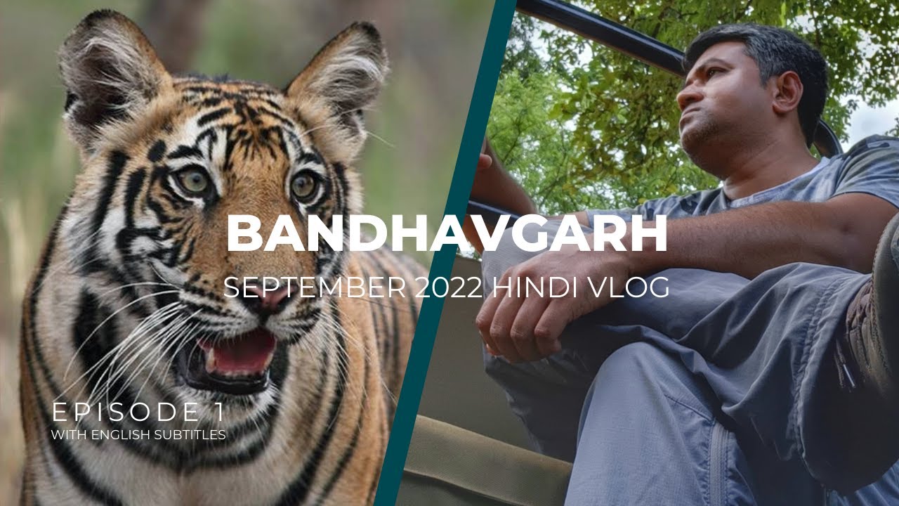 Bandhavgarh Buffer Safari in Monsoon | Dhamokar Zone Jeep Safari | Tiger Tracking Hindi Vlog
