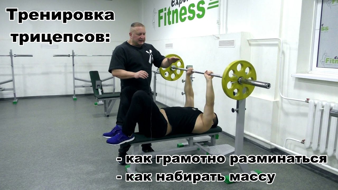 Тренировка трицепсов: разминка, развитие мышечной массы