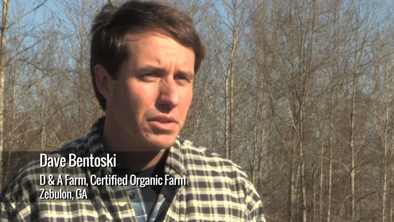 Organic Sound and Sensible Project -  Advice from the Field Experiences with Organic Systems Plans