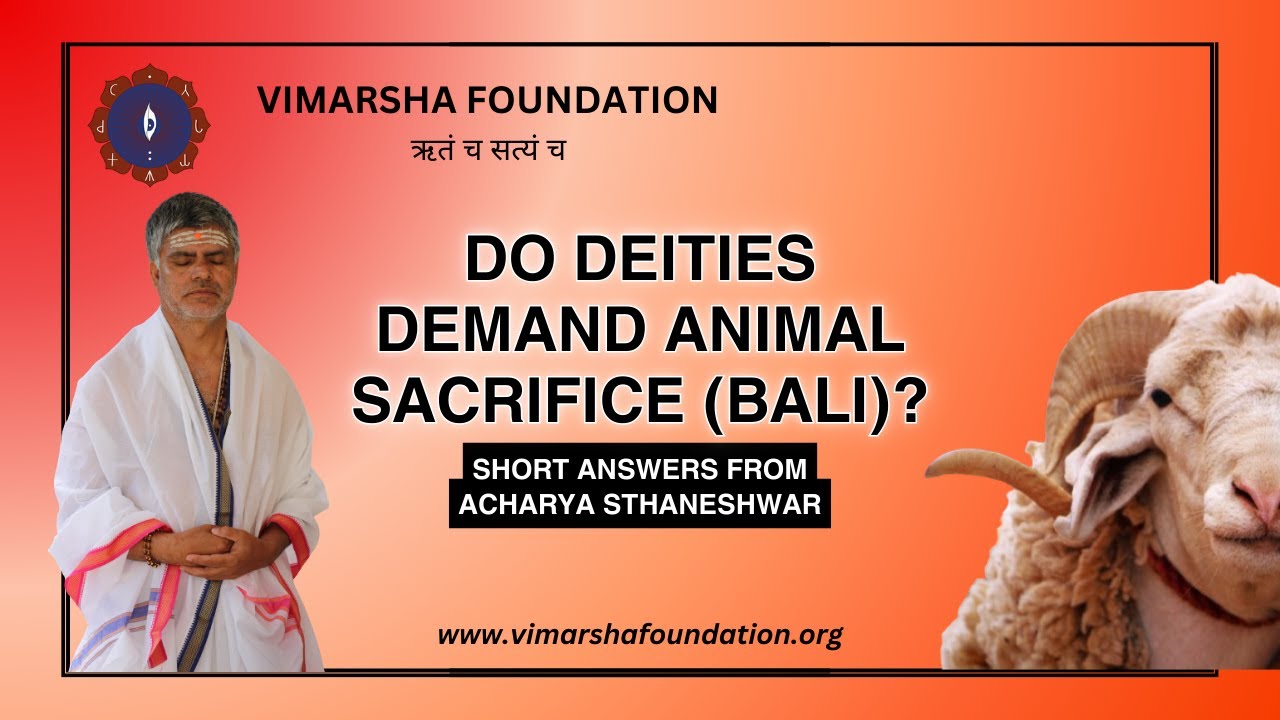 A Unique Perspective on Animal Sacrifice (bali) from Acharya Sthaneshwar