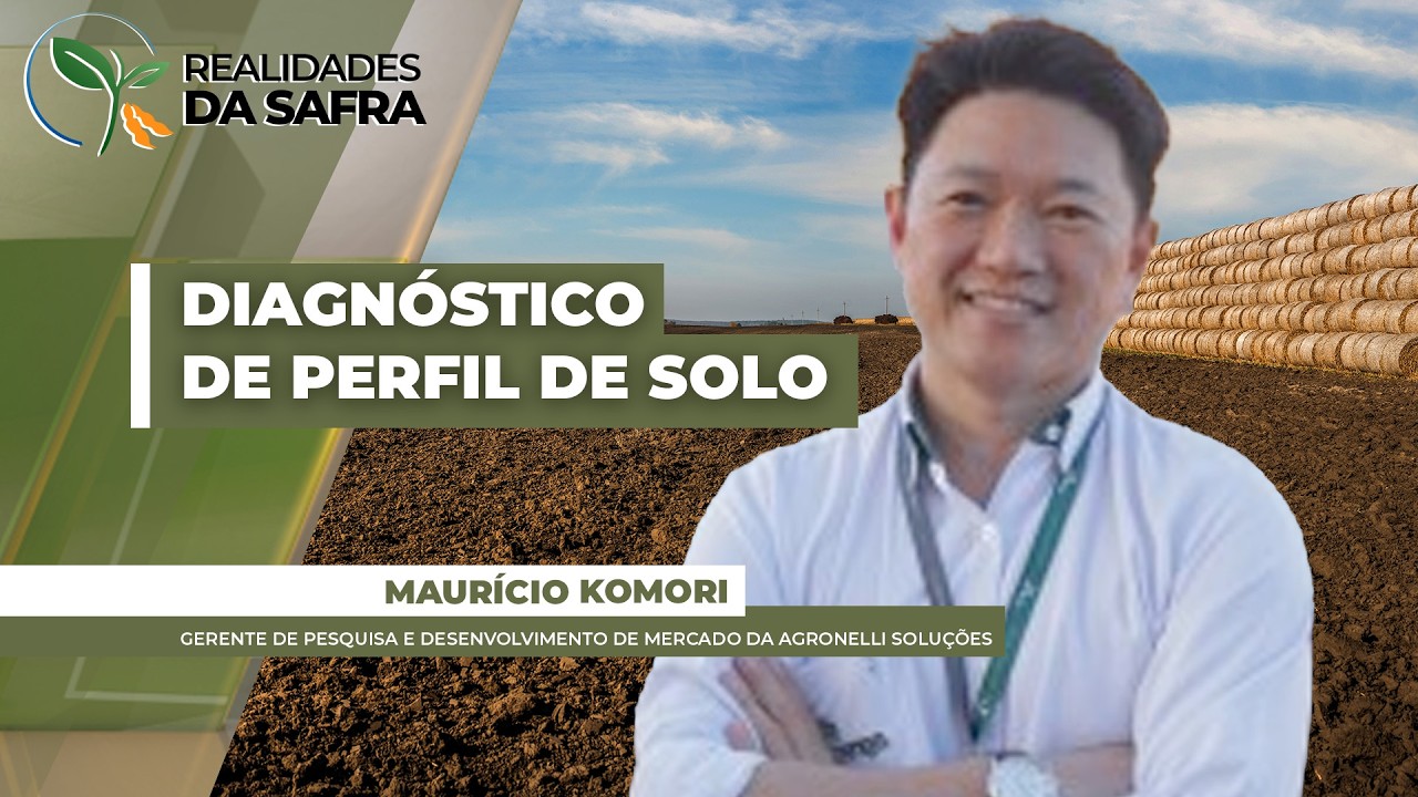 Diagnóstico de perfil de solo pode recuperar produtividades de lavouras