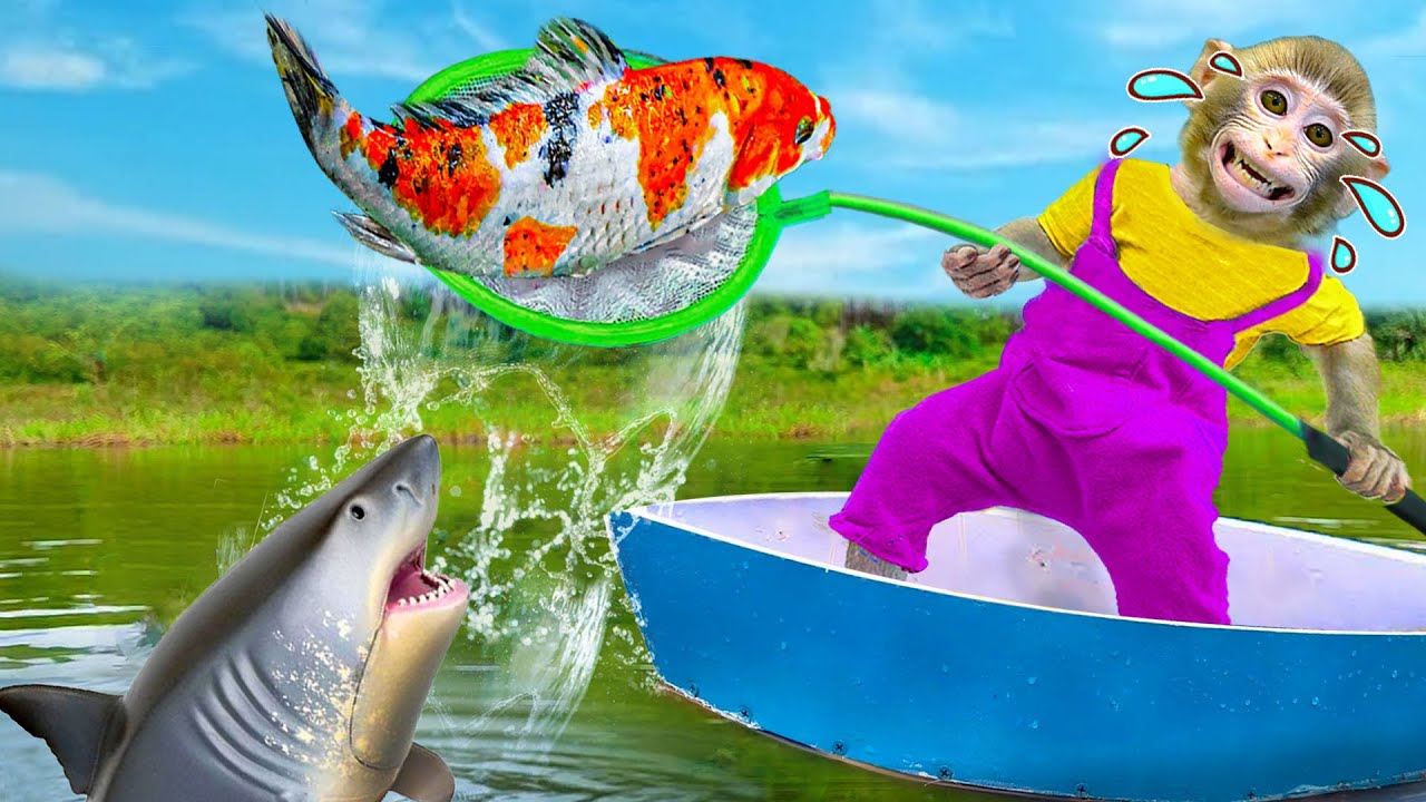 Baby Monkey KiKi Go Fishing on the Boat and suddenly meet SHARK | KUDO ANIMAL