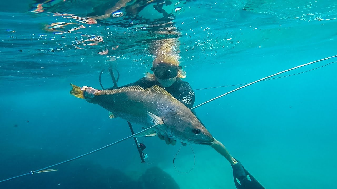 1ST TIME SPEARFISHING MALLOWAY, camping double Island point (Robinson Brothers) ep28