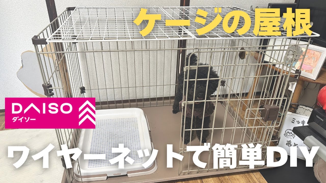 第594話【ケージ DIY】ケージにDAISOのワイヤーネットを使って超簡単DIYで屋根を付けてみた！ートイプードル多頭飼いー ＃ダイソー ＃DIY