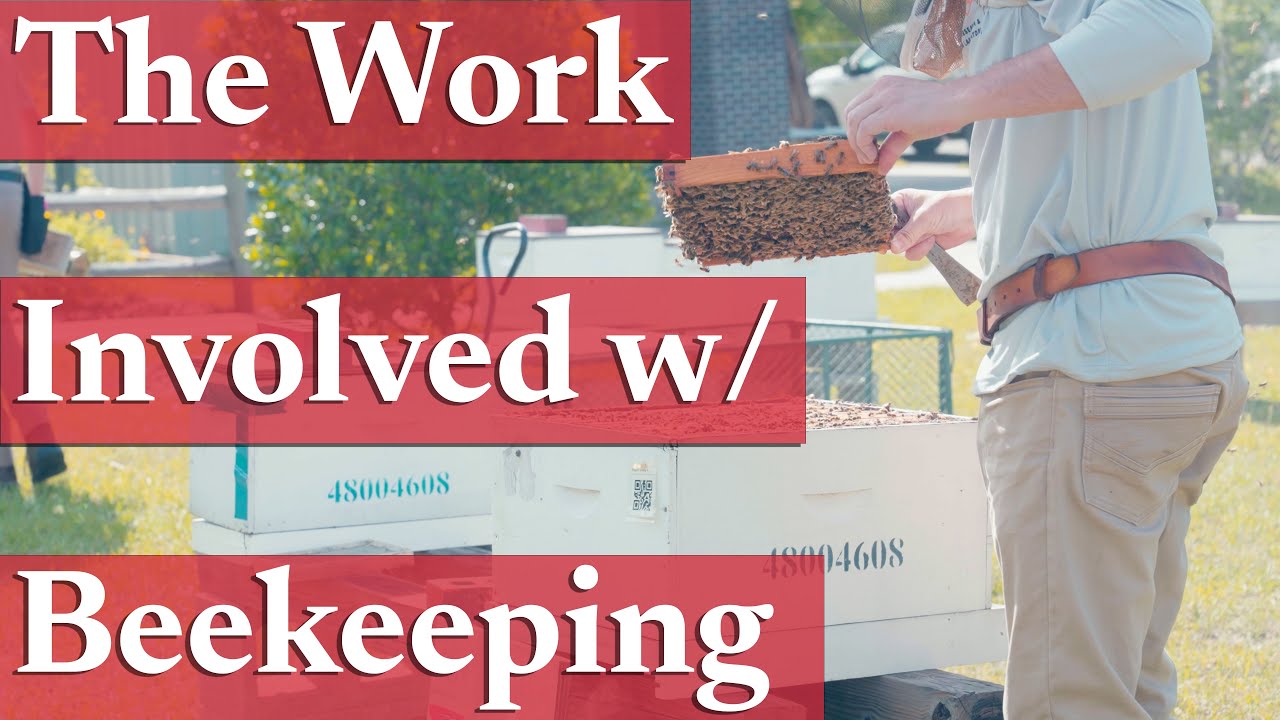 Physical Labor Expectations in Beekeeping | Beekeeping Academy | Ep. 10