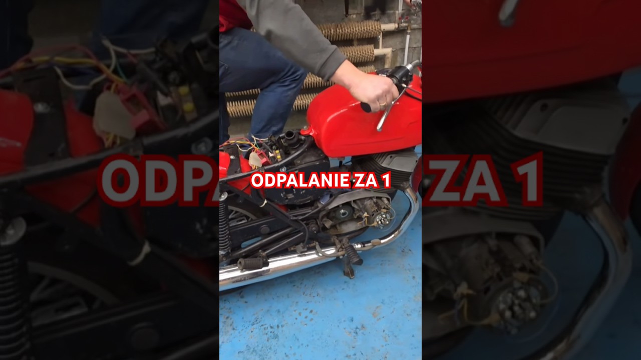 ODPALANIE ZA 1 😮😮😮 #graoplon #shorst #funnymoments