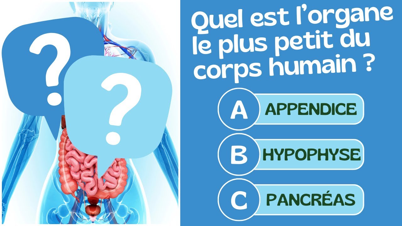 Seul un Génie peut répondre à ces 40 Questions de Culture Générale 🧠