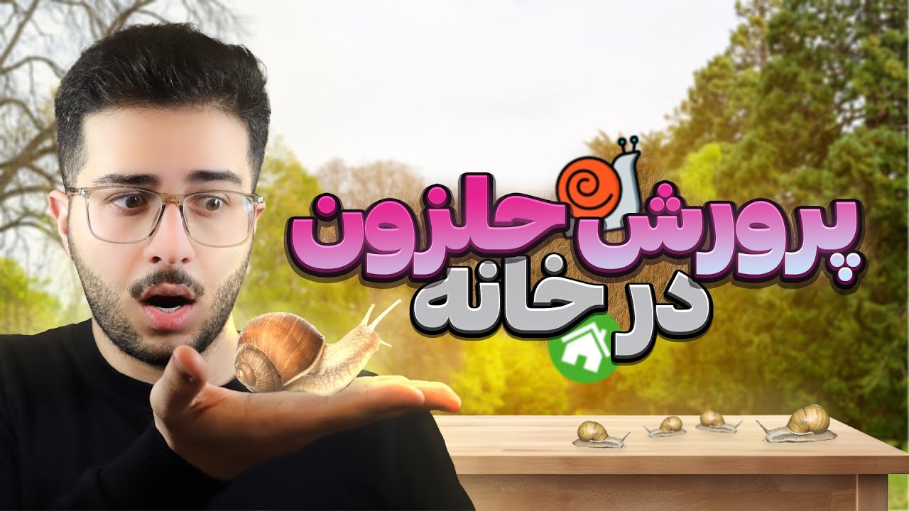آیا از پرورش حلزون میشه کسب درآمد داشت؟ روش پرورش حلزون