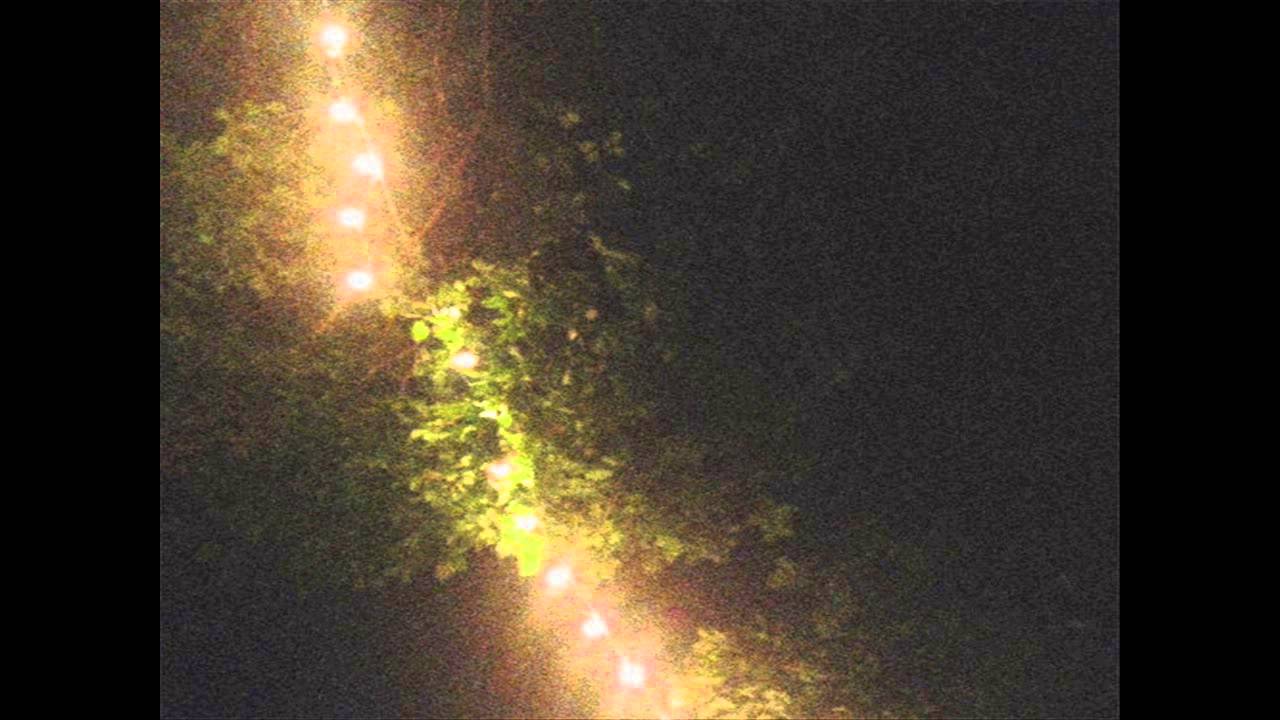 falls - we, too