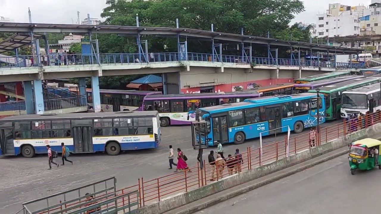 Buses 1000+ Subscribe 