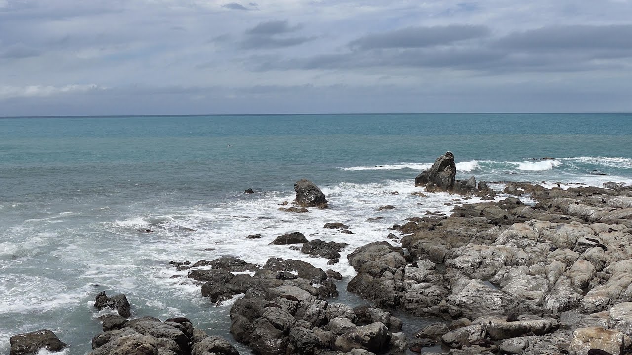 4K UHD - Ohau Point Seal Colony in Summertime - Kaikoura - South Island - Inspirational Music