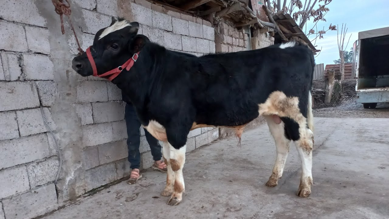 БКАИ БОЗОР 904580010.  14 февраля 2026 г.