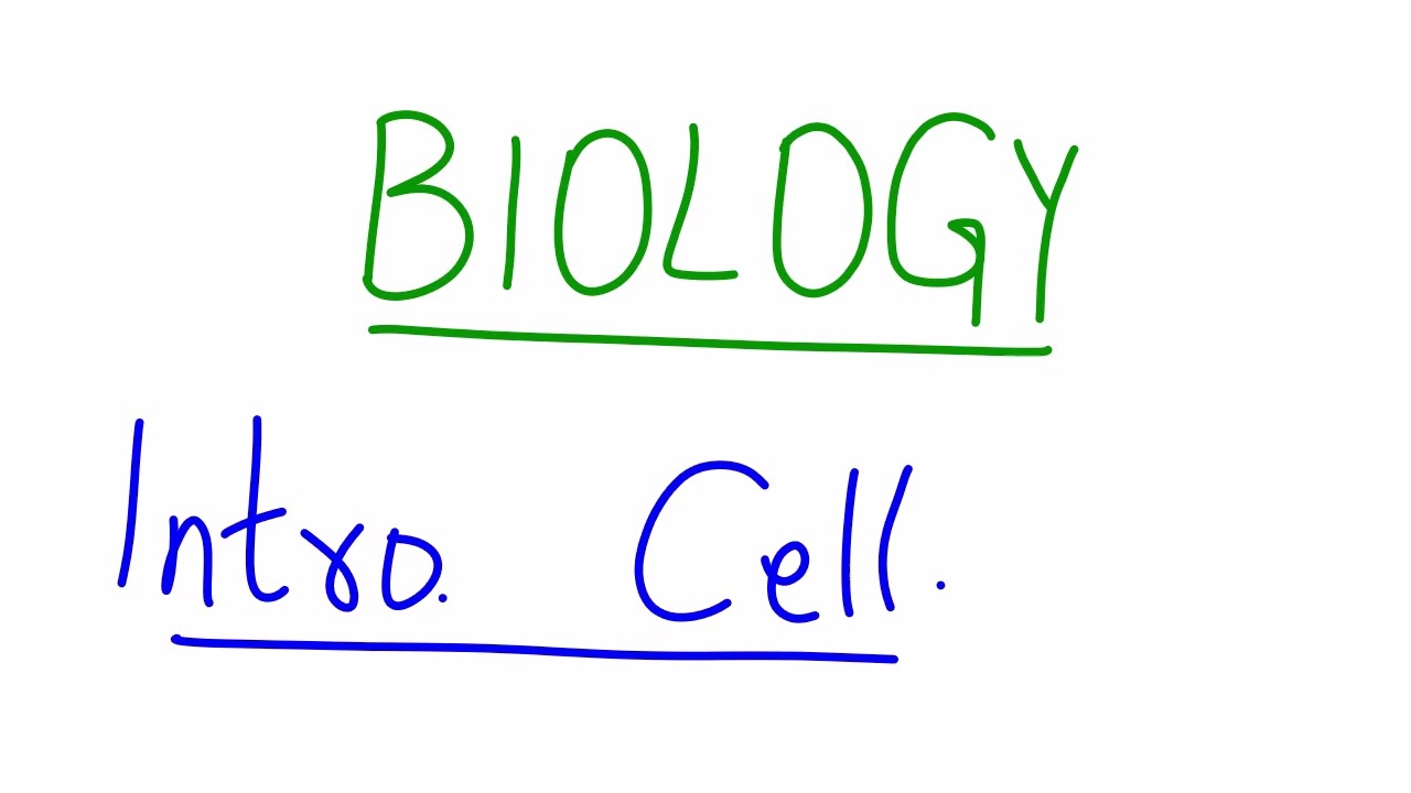 INTRODUCTION TO CELL 2