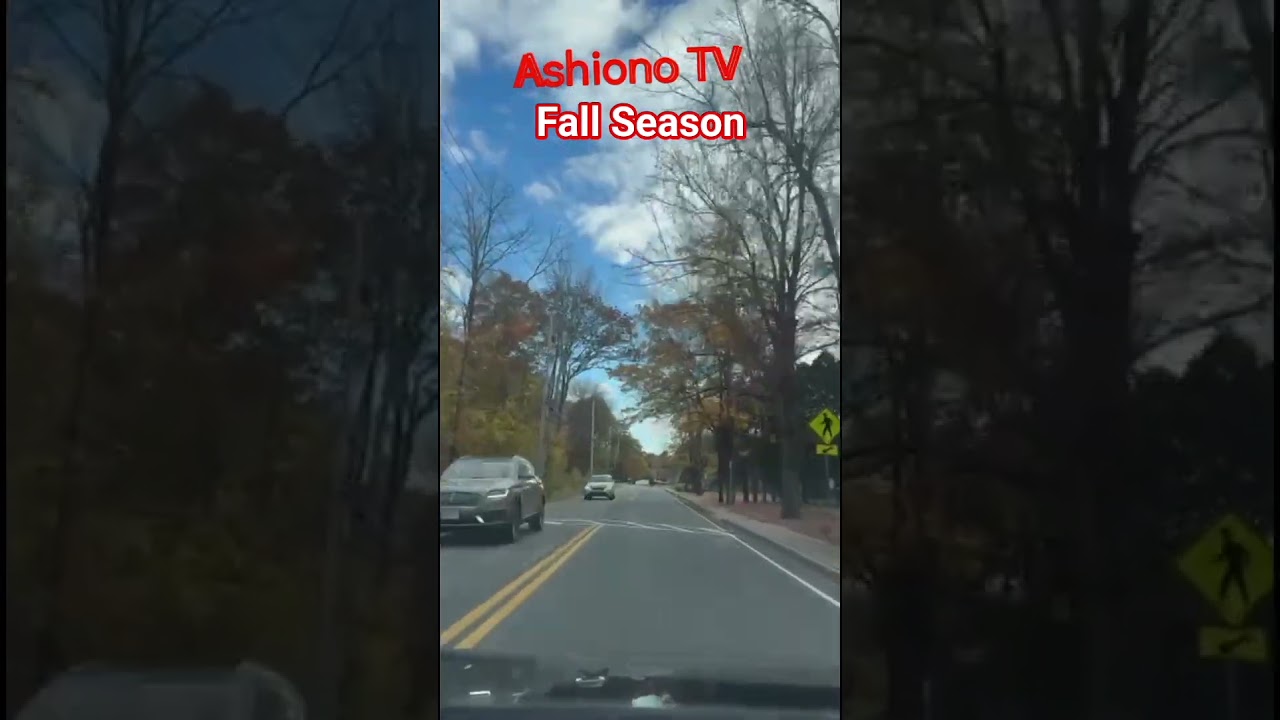 Fall Season in USA#fallseason #unitedstates