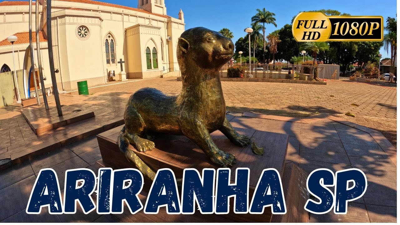 ARIRANHA SP