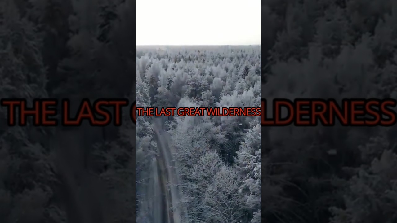 The Last Great Wilderness: The Siberian Taiga 🇷🇺