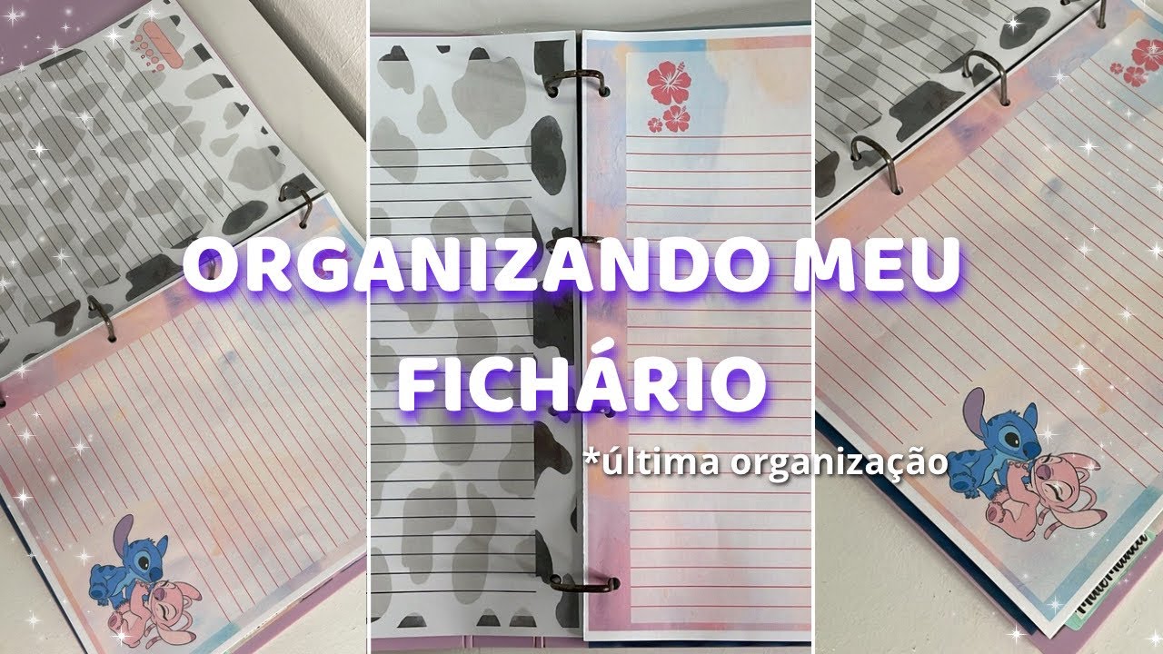 ORGANIZANDO MEU FICHÁRIO + RECEBIDOS | última organização 💞✨