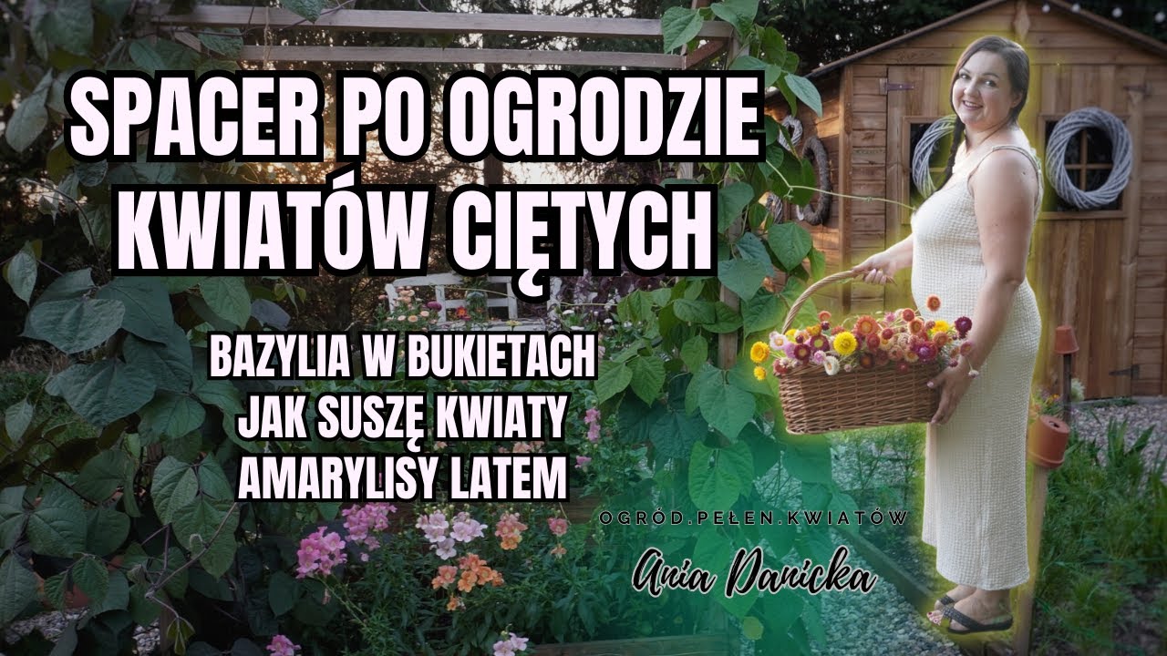 Spacerujemy po ogrodzie kwiatów ciętych. Suszę kwiaty, opowiadam o bazylii w bukietach i amarylisach