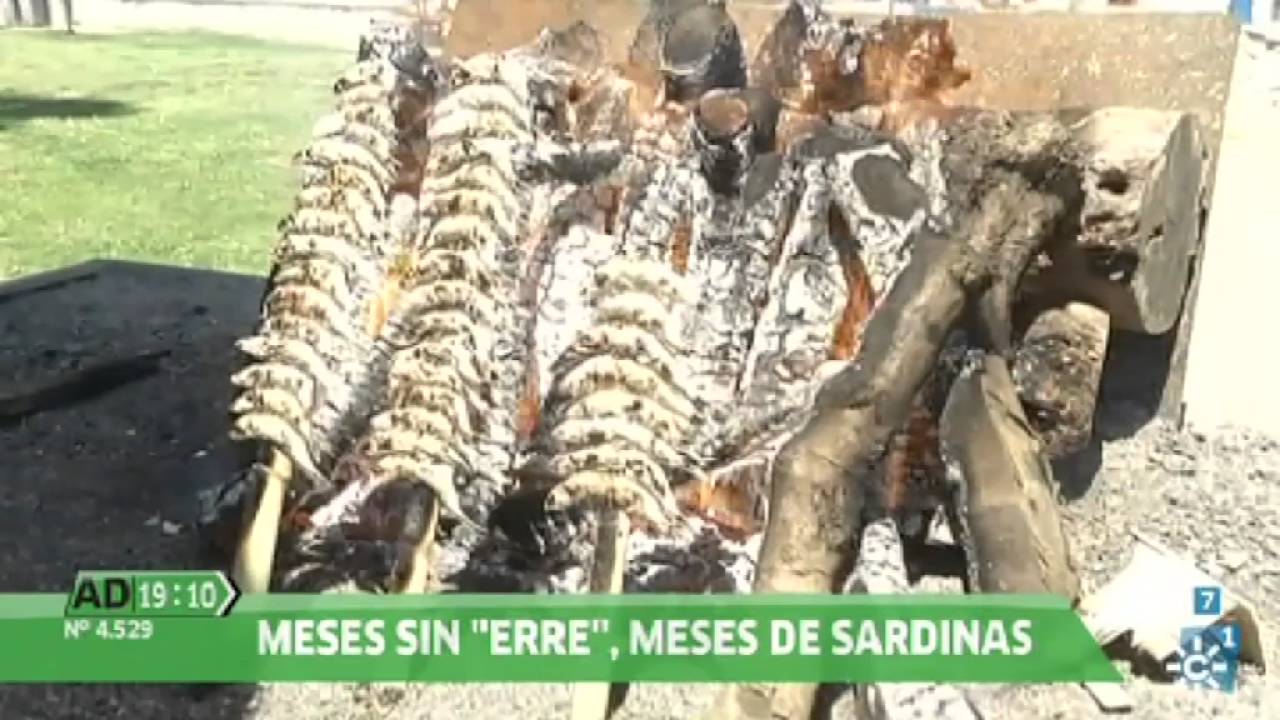 Andalucía Directo | Meses sin ‘r’, meses de sardinas
