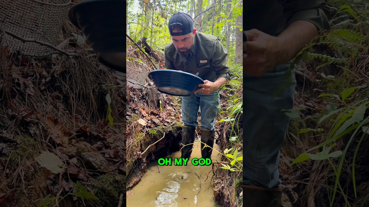 Stinky Creek Yields AMAZING GOLD! Gold Prospecting NC!