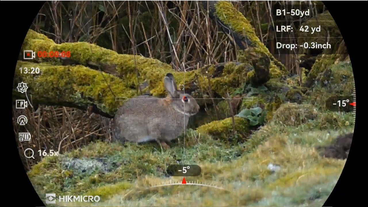 Rabbit control with a CZ 457 Lrp 22lr
