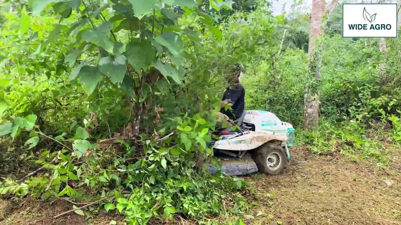 MEMBERSIHKAN KEBUN KURANG DARI 1 JAM?? HANYA MENGGUNAKAN MESIN RABBIT MOWER (RM983X)