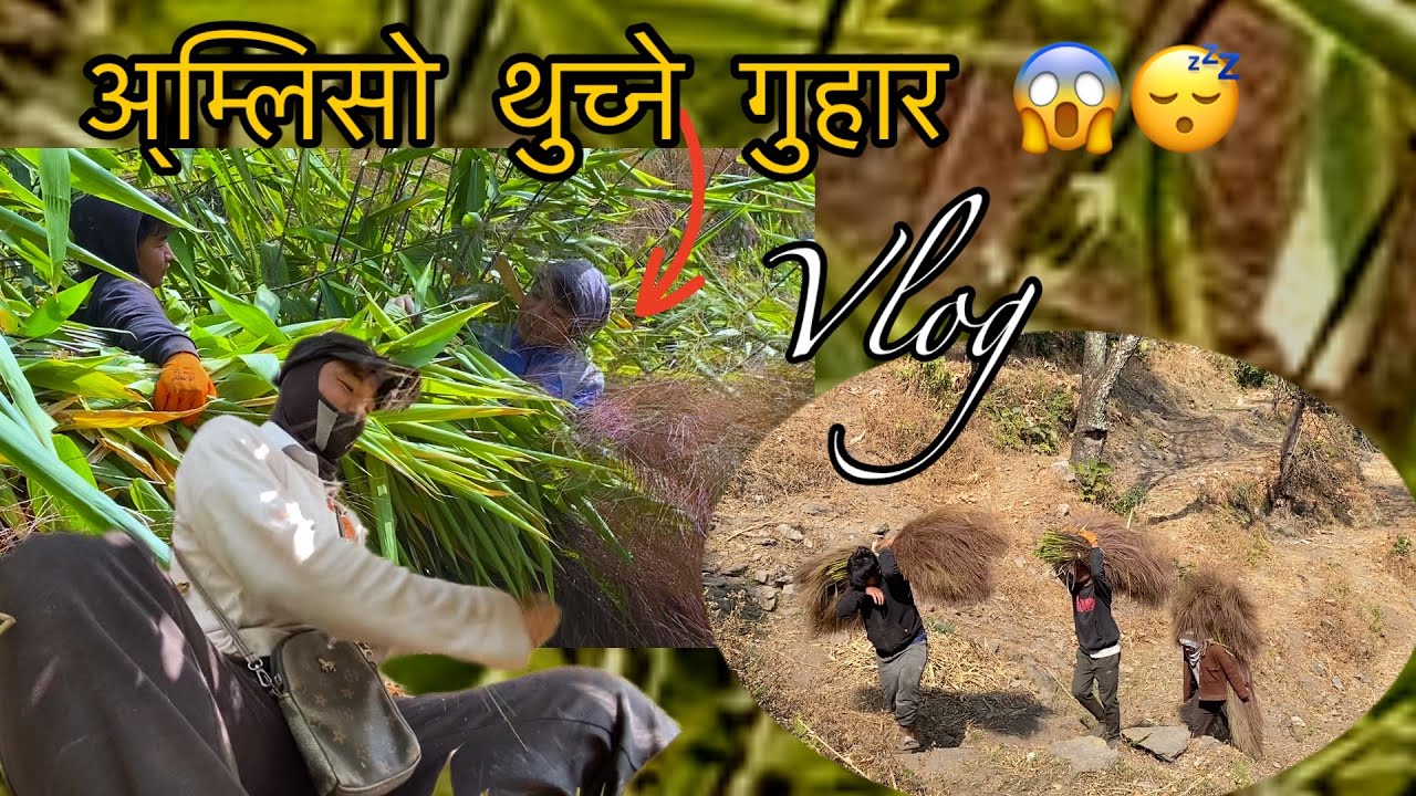 अ्म्लिसो थुच्ने गुहार 😱😴#newvlog Estern part of morang Nepal #villagelife  @SahinLimbu-e9z 