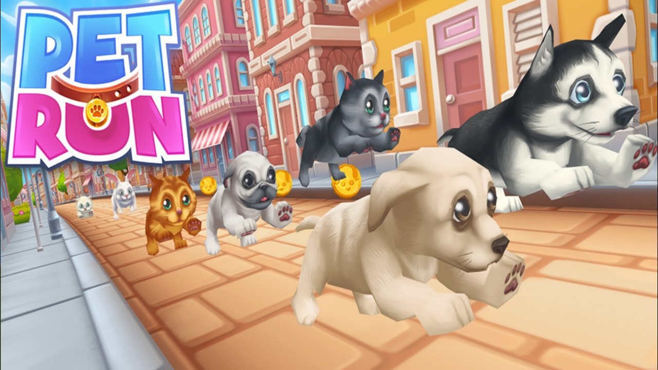 PET RUN - PUPPY DOG GAME | DAY 2