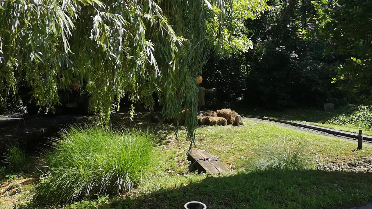 Familypark St. Margarethen Traktorfahrt POV