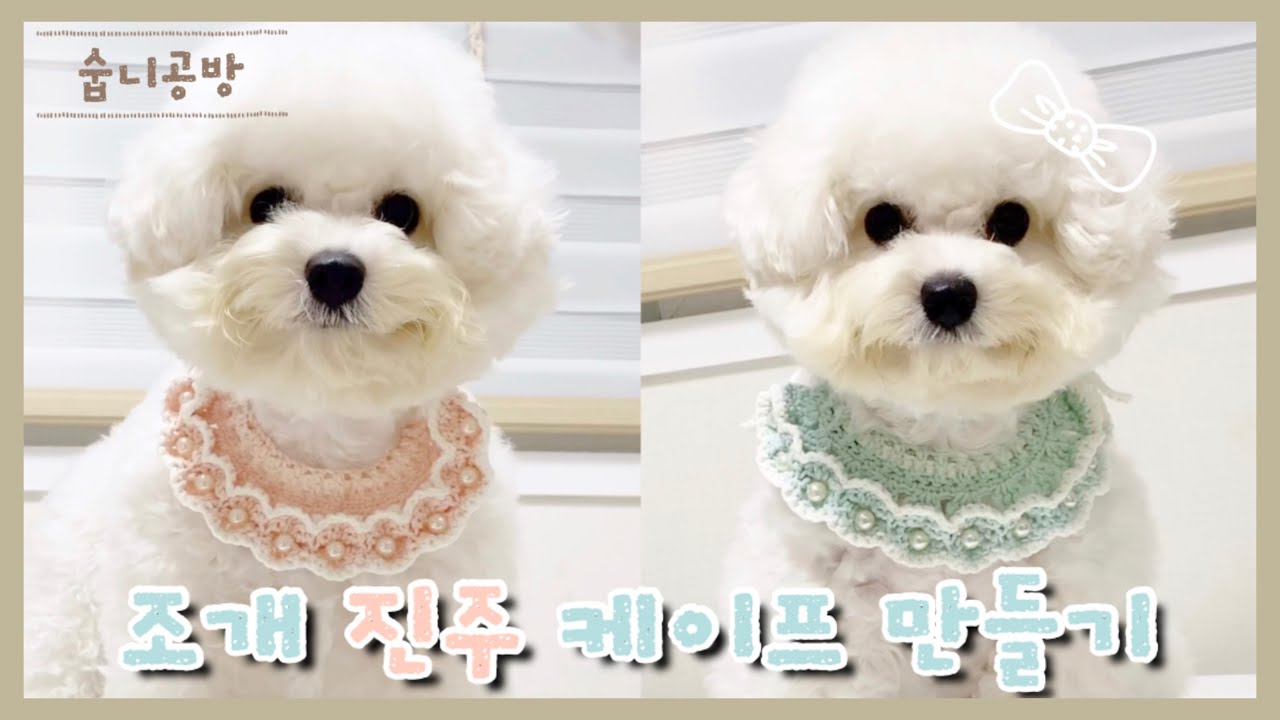[숩니공방] 강아지 코바늘 뜨개 진주 케이프 만들기 / 고양이,아기케이프 / crochet dog collar