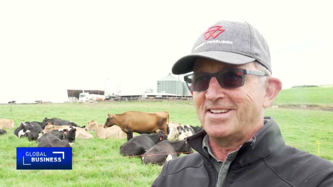 South Africa cattle farmers face major losses following foot and mouth outbreak