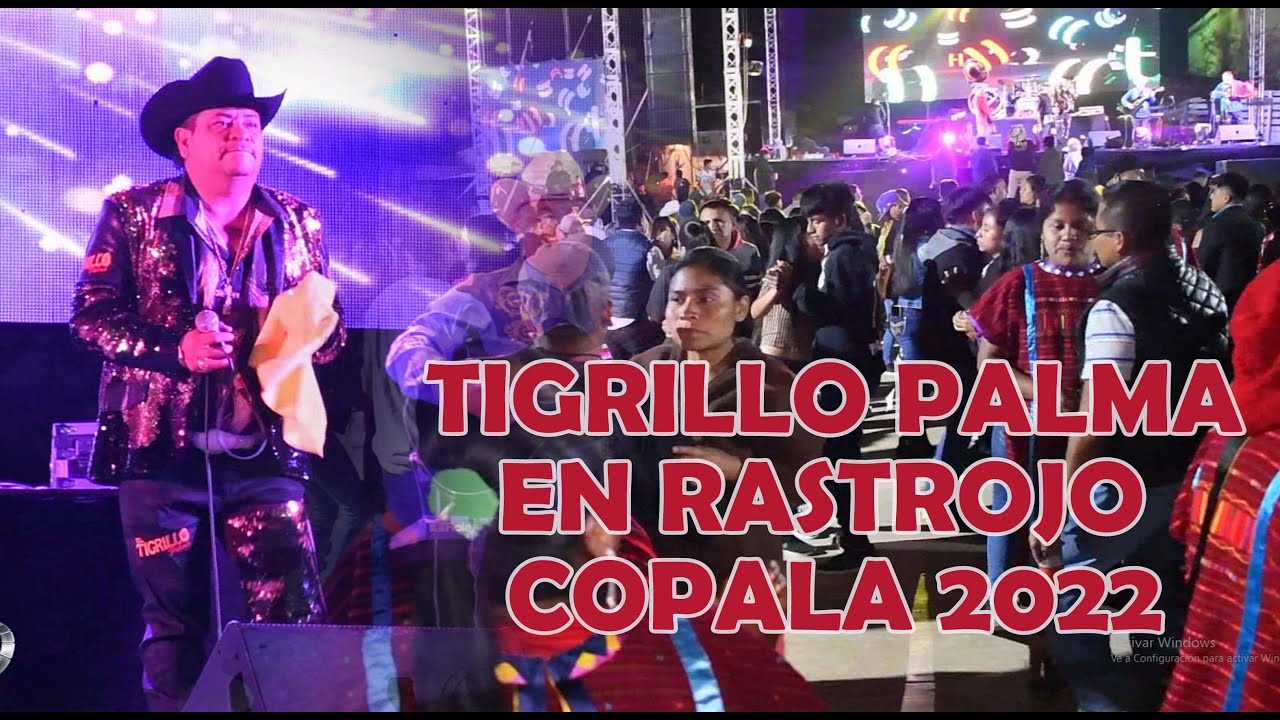 TIGRILLO PALMA EN RASTROJO COPALA 2022. QUINTO VIERNES DE CUARESMA