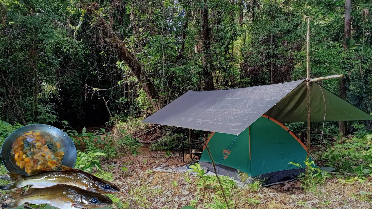camping di hutan kalimantan berburu ikan masak gulai ikan baung asam pedas hasil pancing