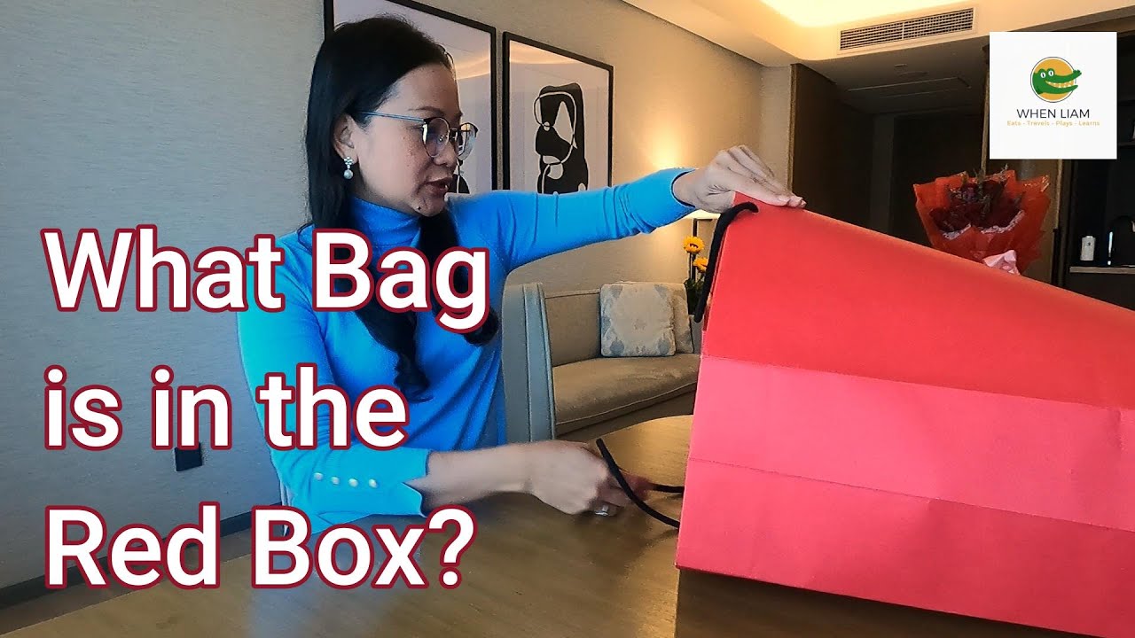 Unboxing:  Luxury Bag •  Red Box • @carolinaherrera Andy 7 Locked Review • @WhenLiam Unboxes!
