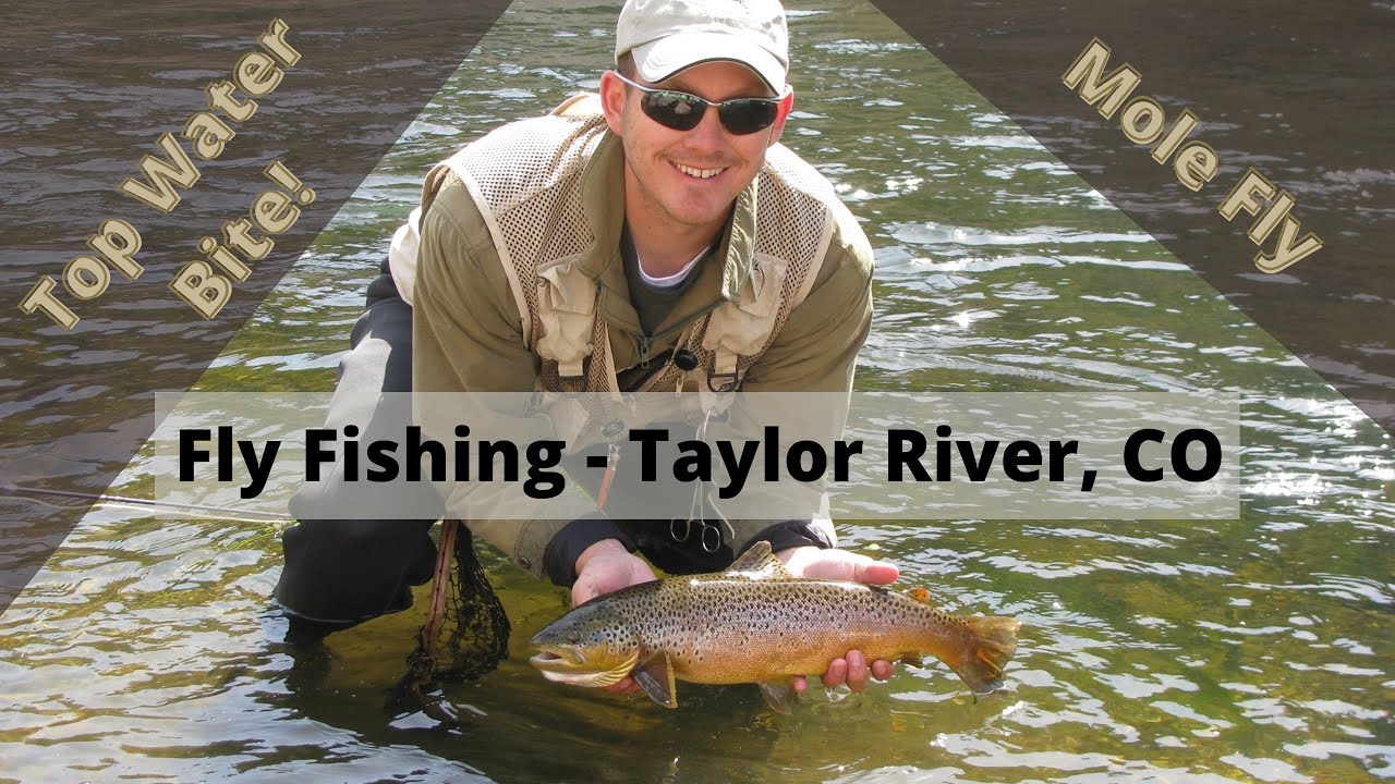 Fly Fishing Taylor River Almont, Colorado - See the RISE