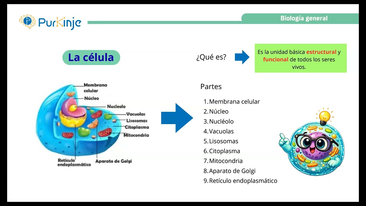 CLASE BIOLOGÍA GENERAL