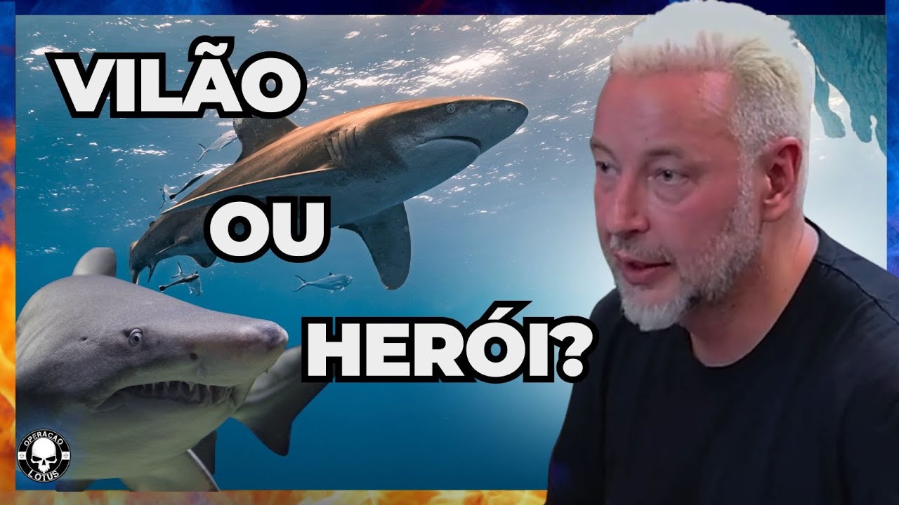 (Ninguém te conta isso ) Mergulhador e fotógrafo de tubarões revela o que aconteceria sem eles